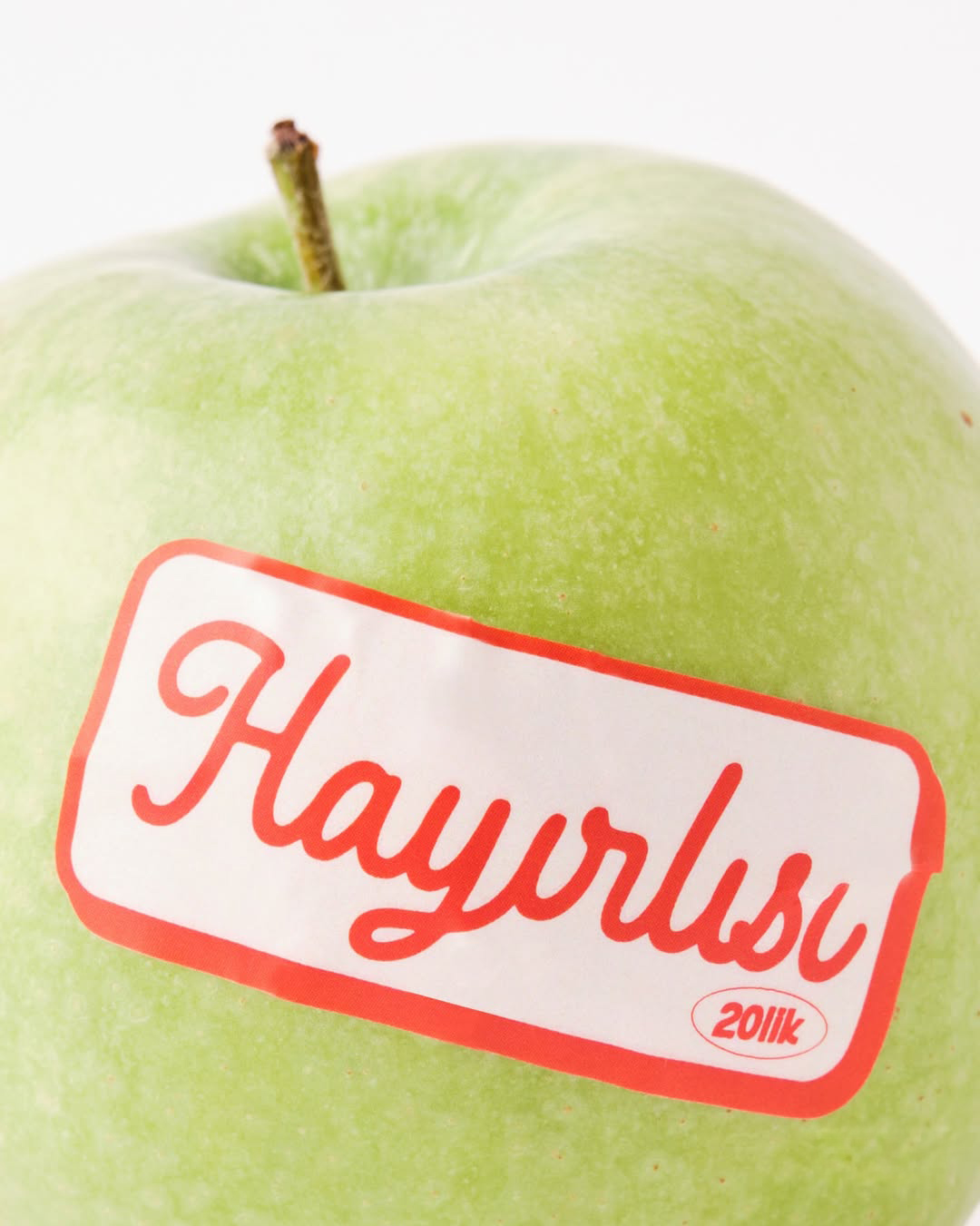 GMK_OYKUURALGIL_TANITIMESYASI_20LIK_STICKERPACK_07