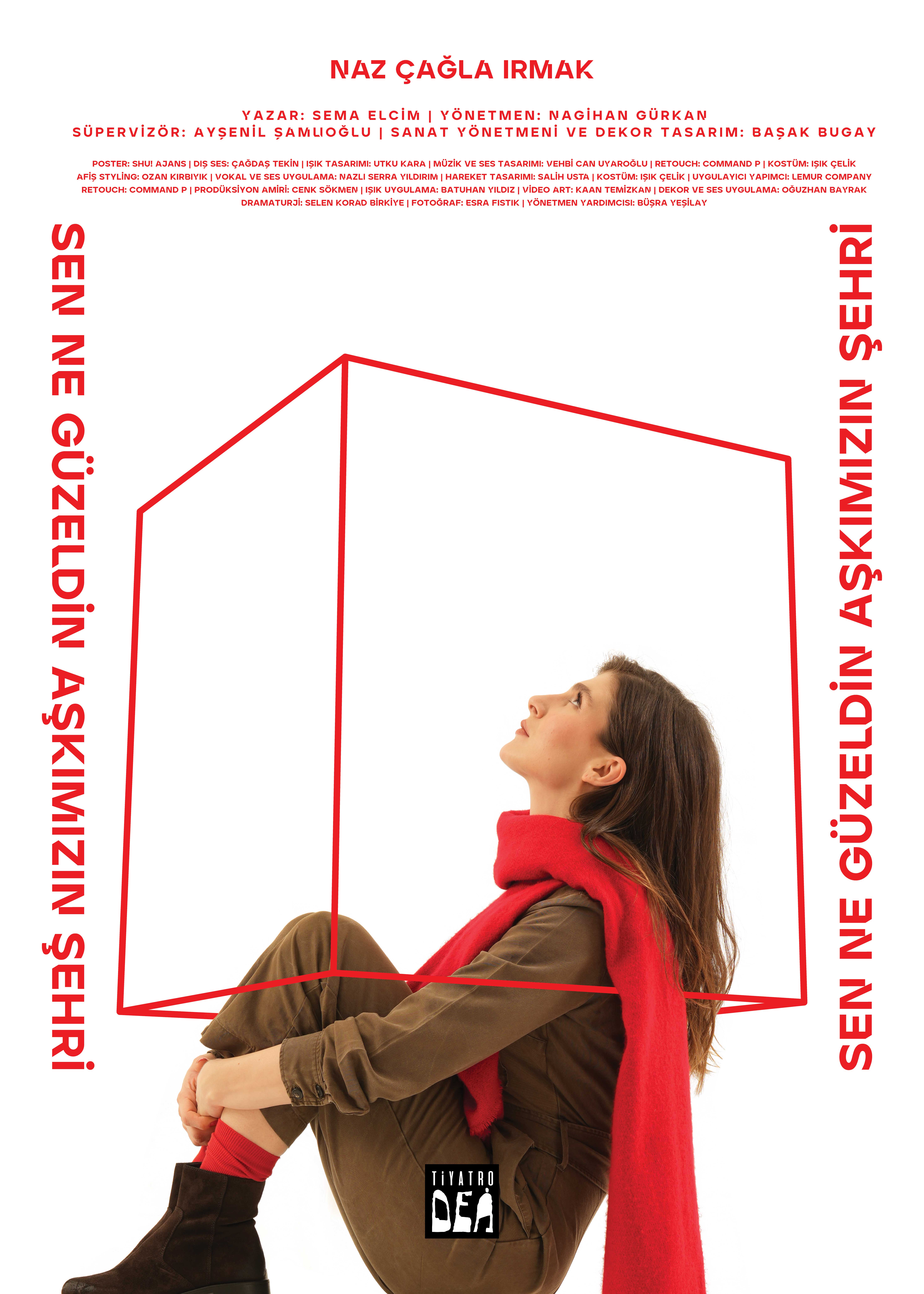 Sen-Ne-Güzeldin-Poster-02_3-02