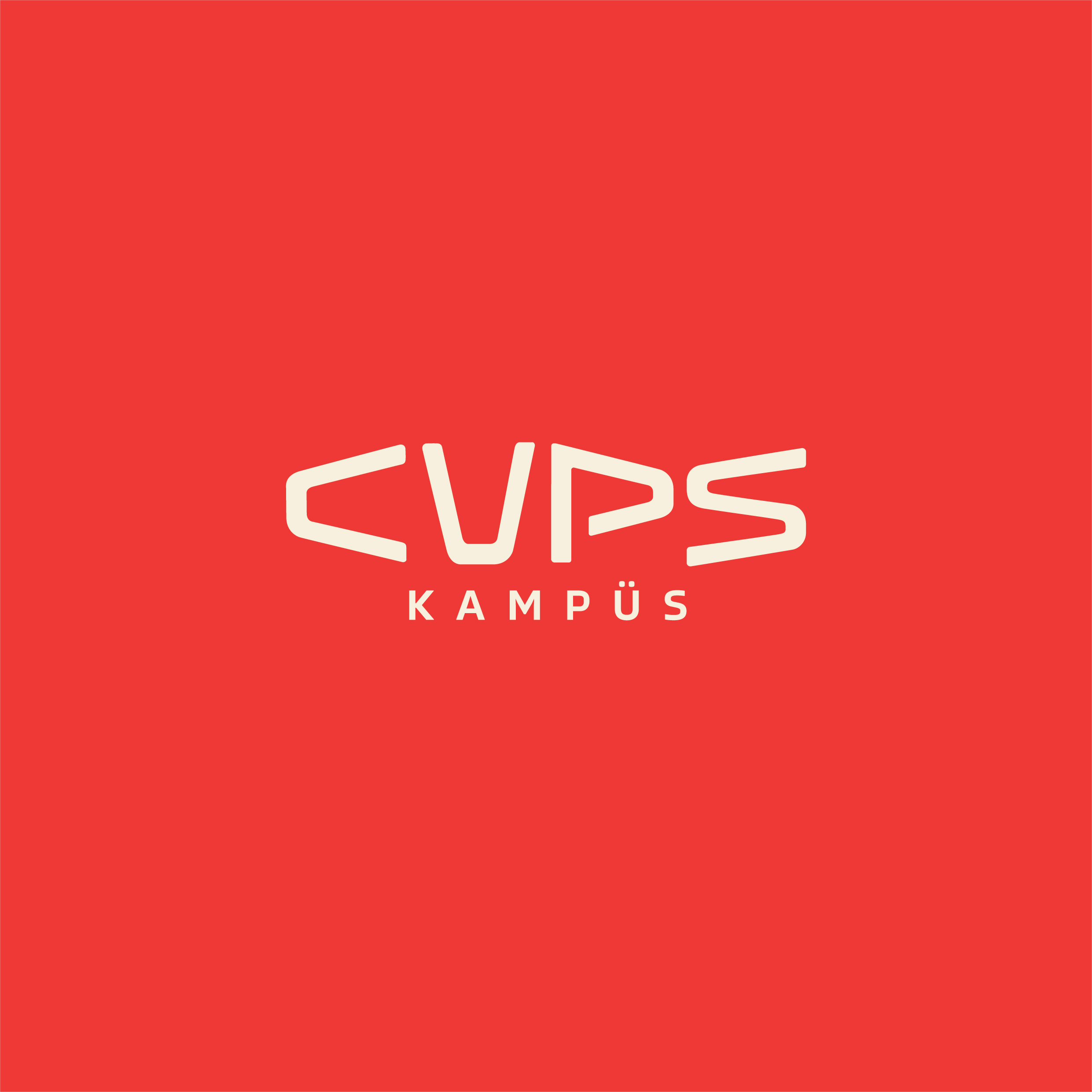 2Cups Renkli