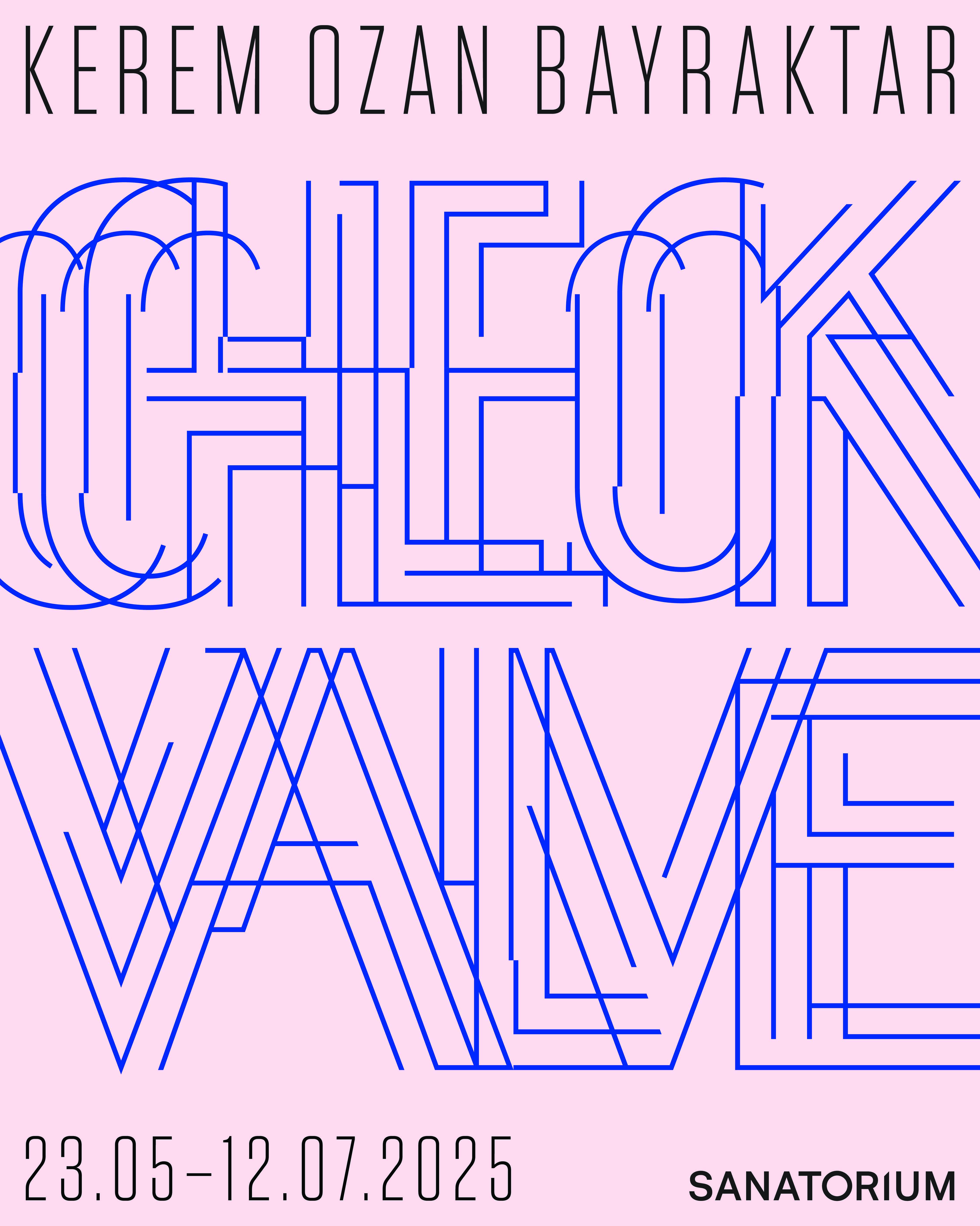 Kerem Ozan Bayraktar Check Valve
