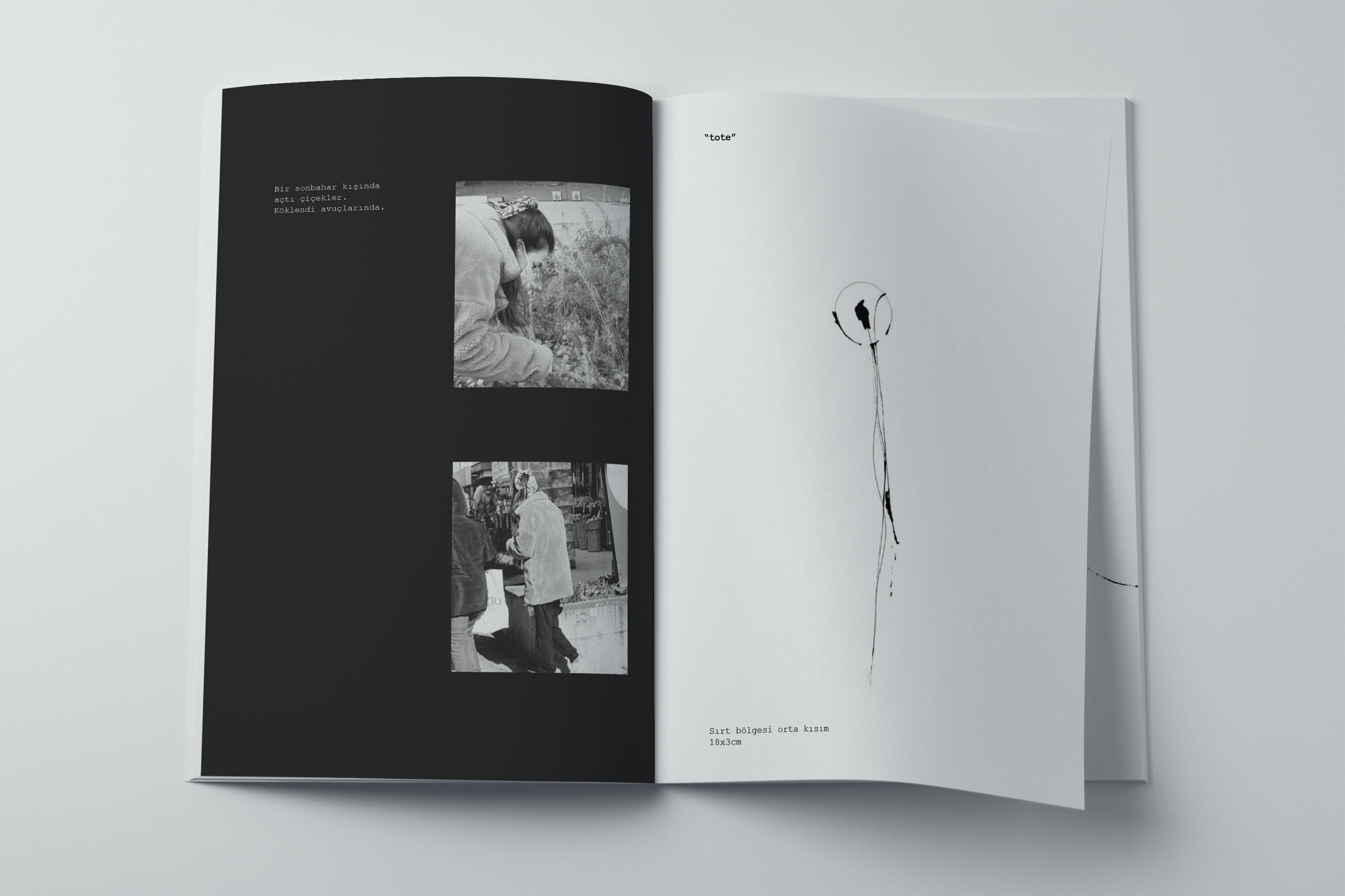 a4_magazine_mockup_spread_squed_page