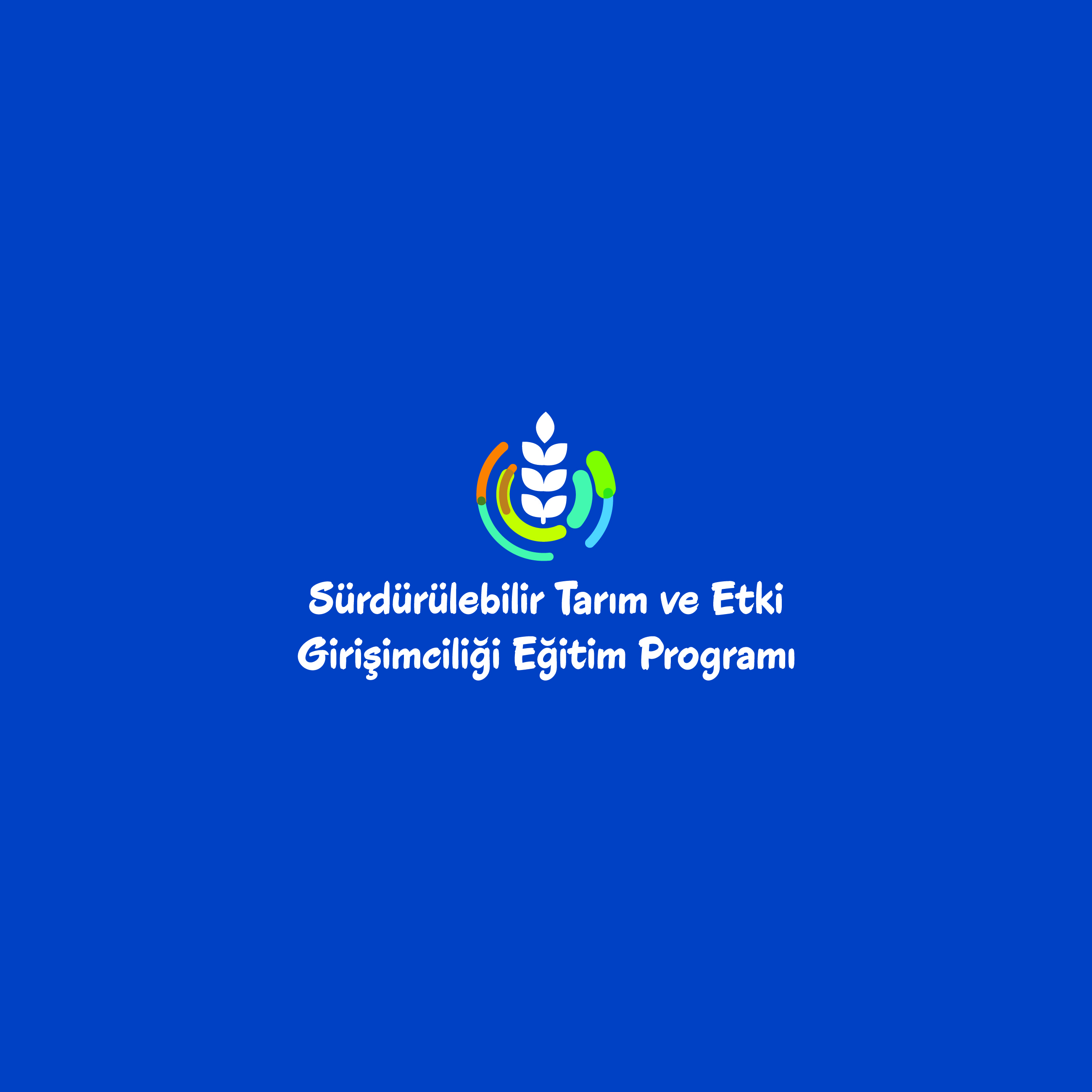 Sürdürülebilir Tasarım ve Etki Girişimciliği Programı_Beyaz Kullanım