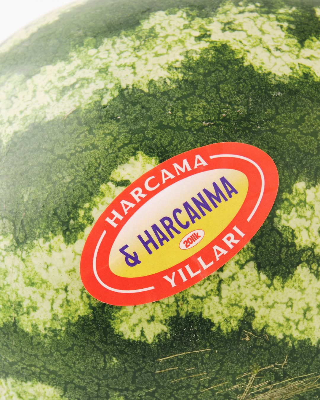 GMK_OYKUURALGIL_TANITIMESYASI_20LIK_STICKERPACK_10