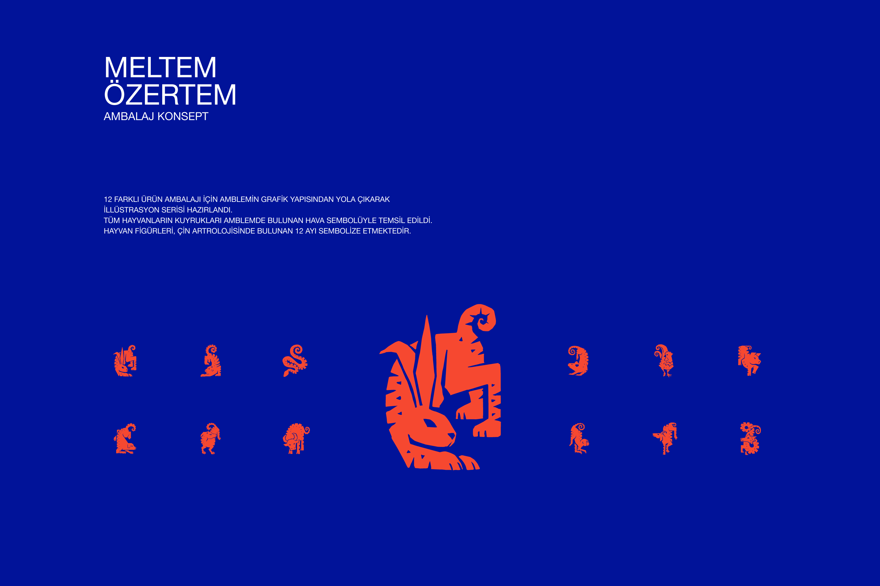 MELTEM_OZERTEM_AMBALAJ_GMK_03