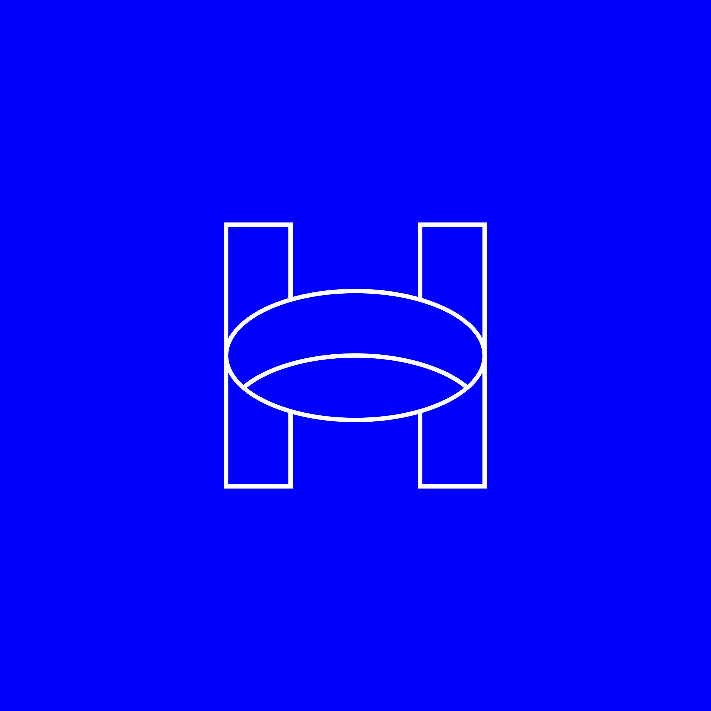 Hokus_Amblem1