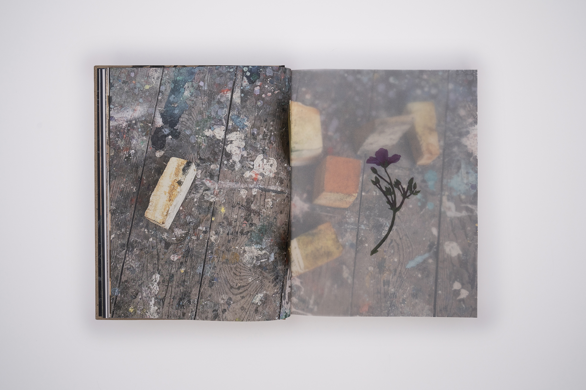 BB_Book_5