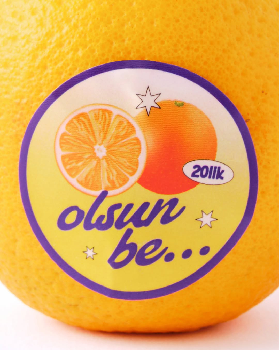 GMK_OYKUURALGIL_TANITIMESYASI_20LIK_STICKERPACK_06