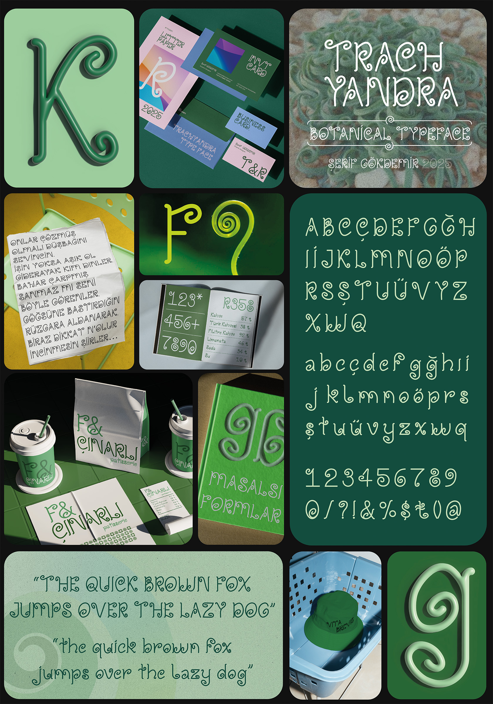 trachyandra-display2