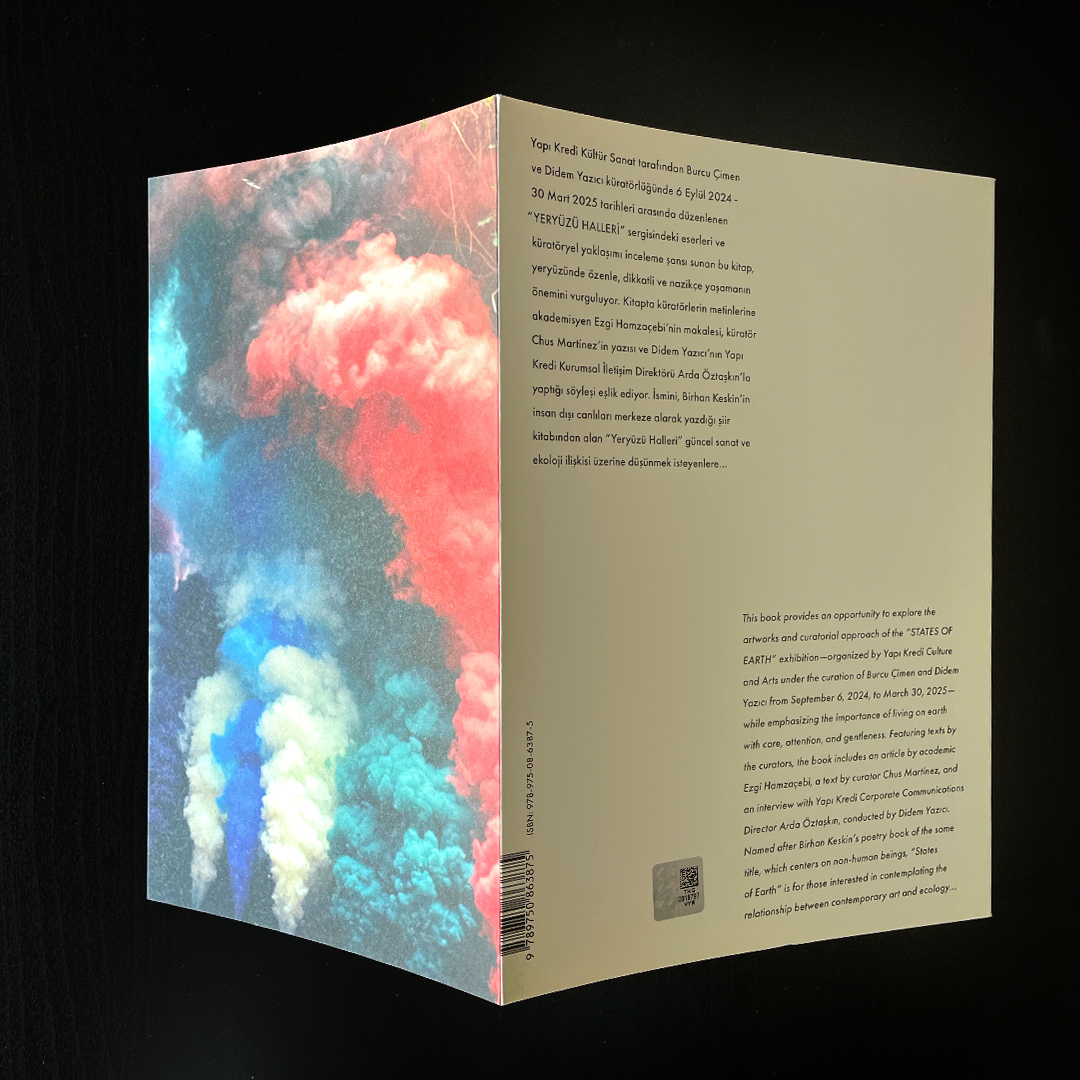 Yeryuzu_Halleri-Fotograf-4