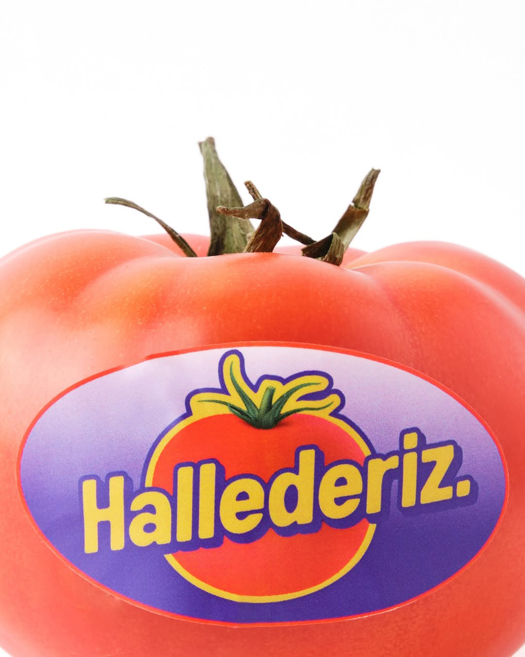 GMK_OYKUURALGIL_TANITIMESYASI_20LIK_STICKERPACK_09