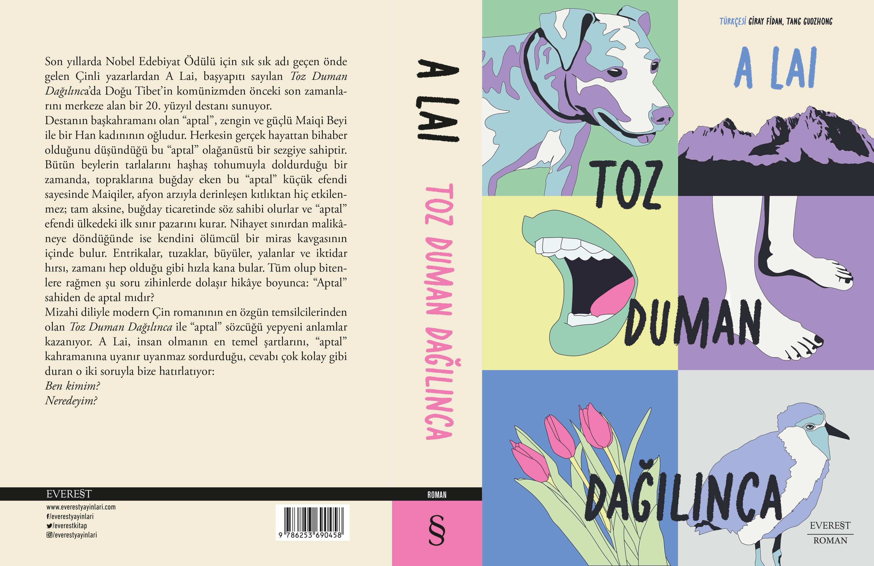 toz duman dağılınca - kapak