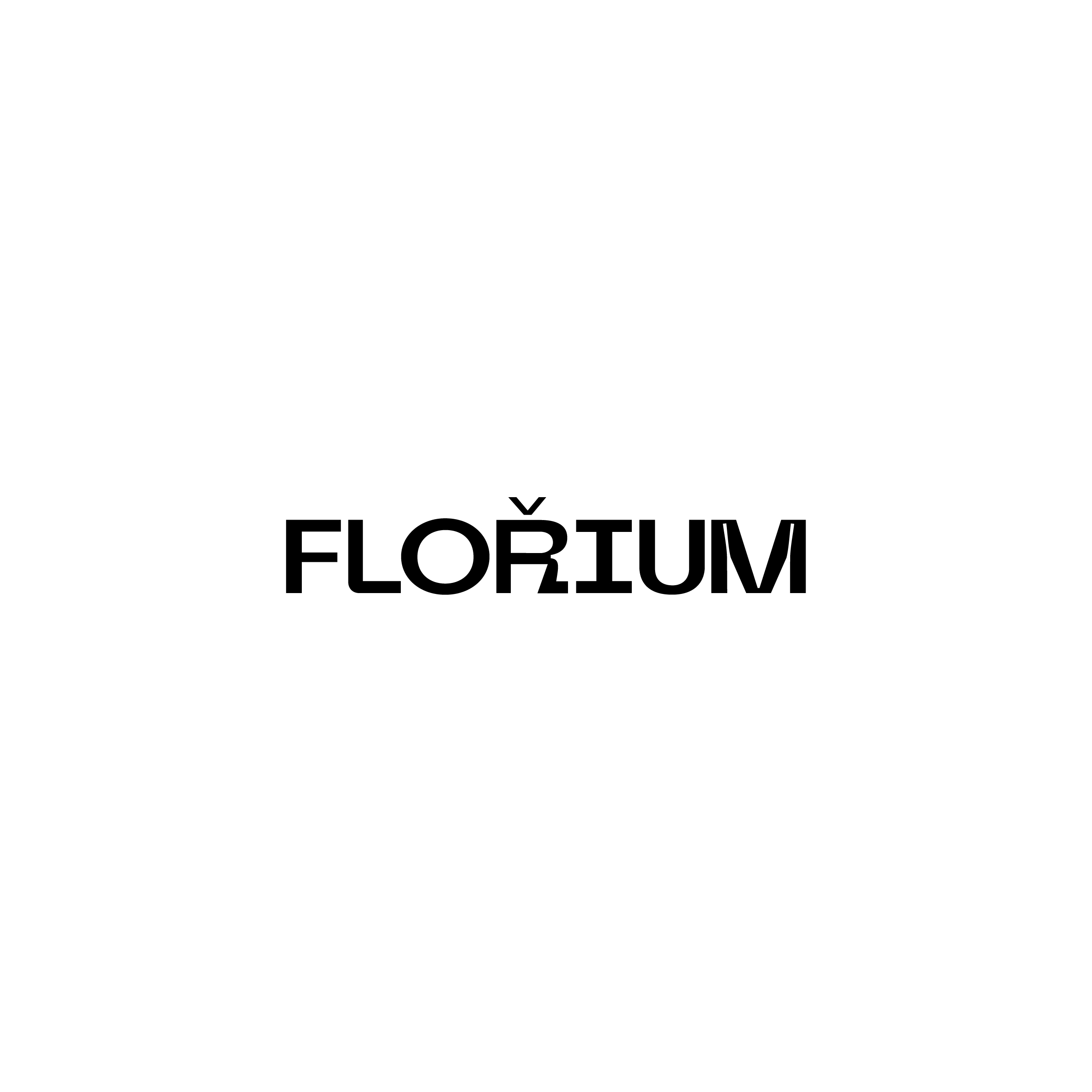 Florium-shoes-logo-design-02