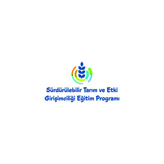 Sürdürülebilir Tasarım ve Etki Girişimciliği Programı_Renkli Kullanım