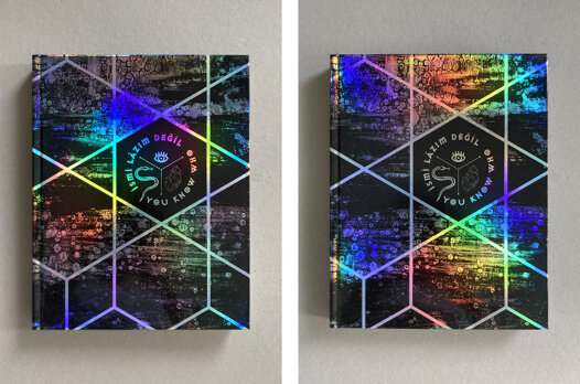 Esen_Karol_kitap_Ismi_Lazim_Degil_01