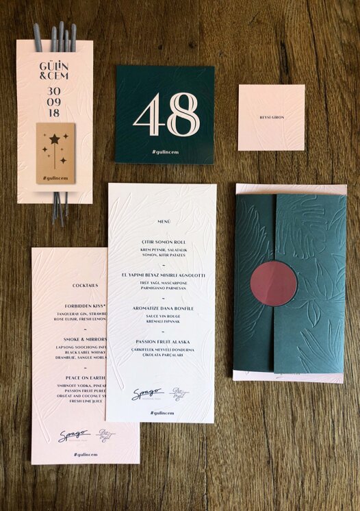 2018-255-5bab7a44097eb