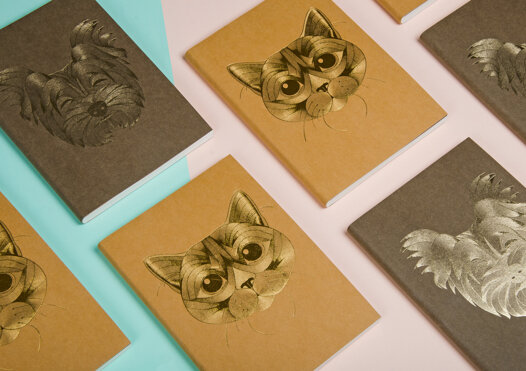 2018-302-5ba2540fe6a32