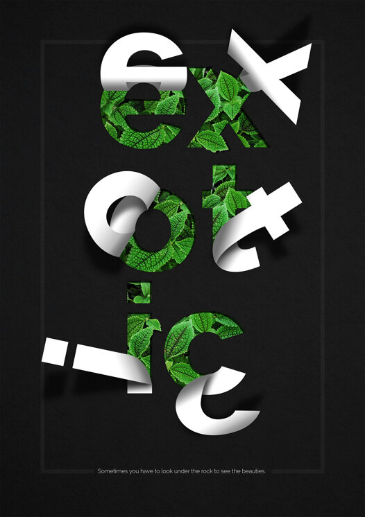 2018-306-5ba20a4106f2e