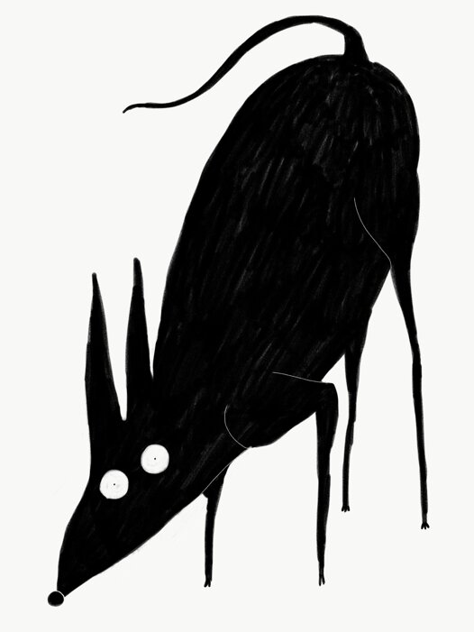 2018-351-5babc2585b0ae