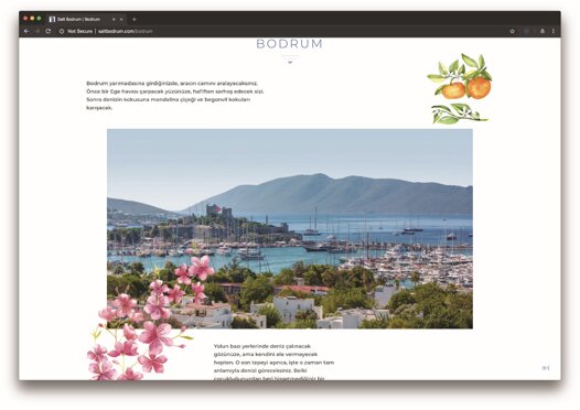 2018-392-5baa35274930a