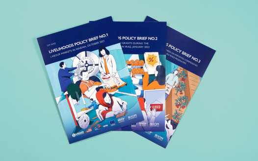 livelihoodspolicybrief_01