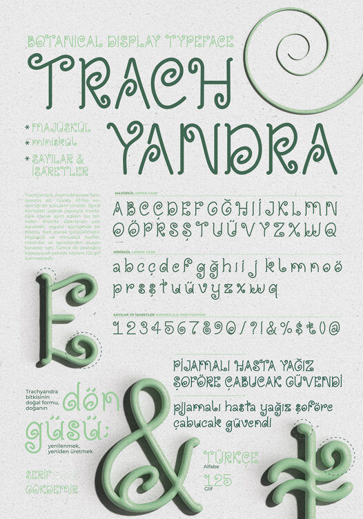 trachyandra-display1