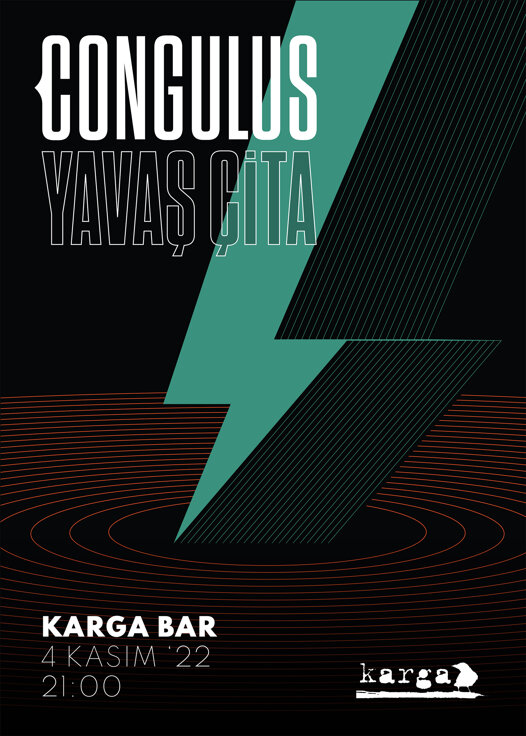 2 tane yavaş_50x70 copy