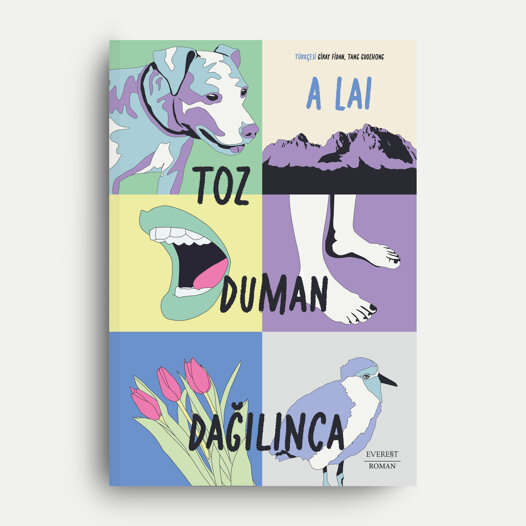 toz duman dağılınca mockup1