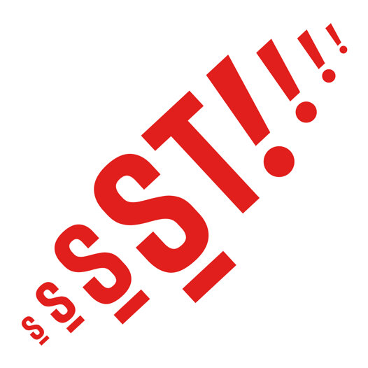 ŞT-Tanıtım-Afişi-Kapak-GMK