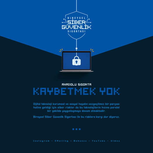 Anadolu Sigorta Aciklama