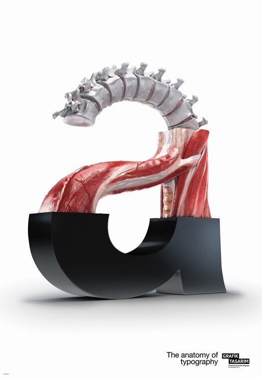 TipografiAnatomi